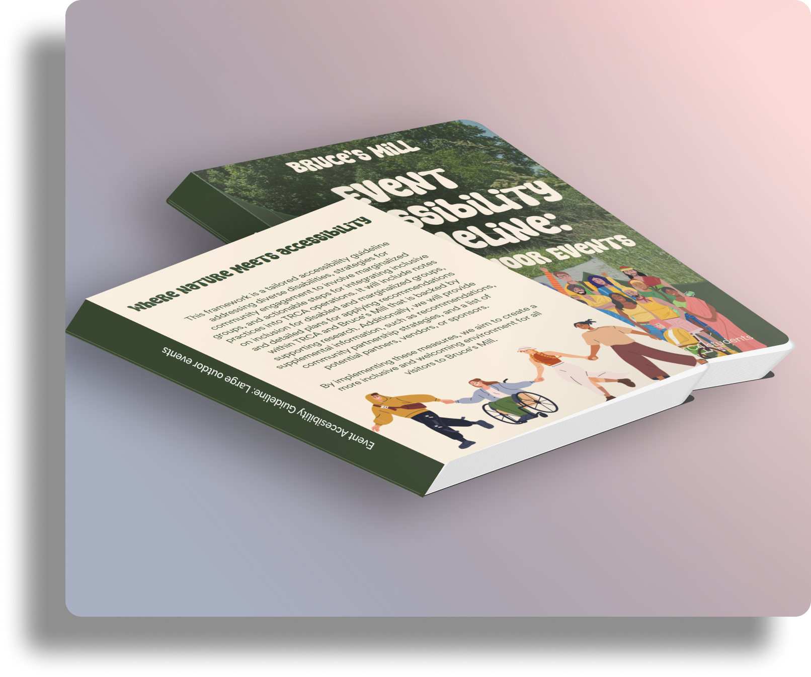 Bruce's Mill Guideline